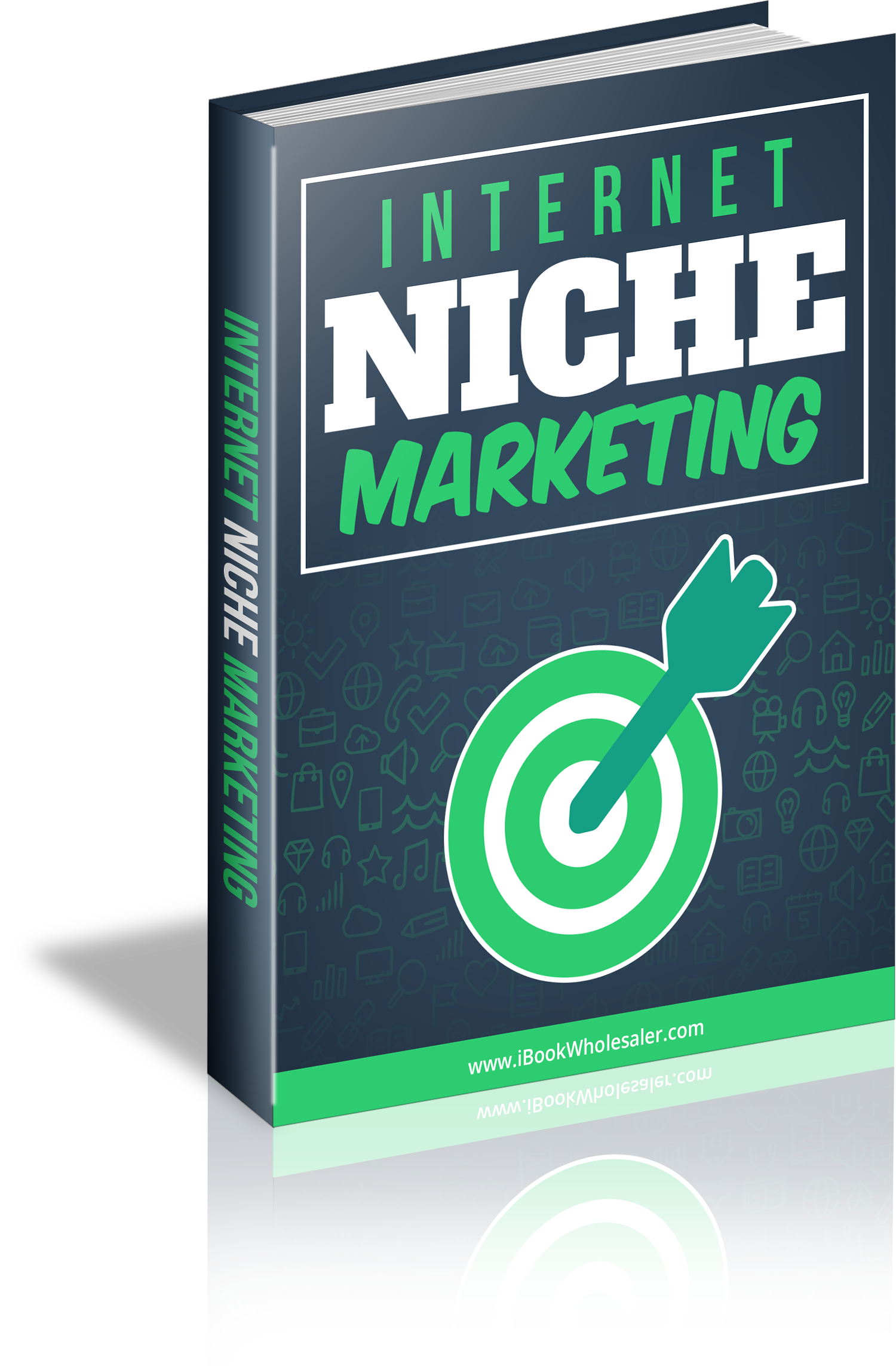 Internet Niche Marketing PLR Free Download