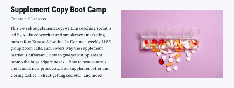 Kim Krause Schwalm – Supplement Copy Boot Camp Download