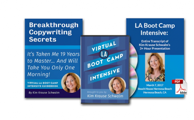 Kim Krause Schwalm – Virtual LA Boot Camp Intensive Download